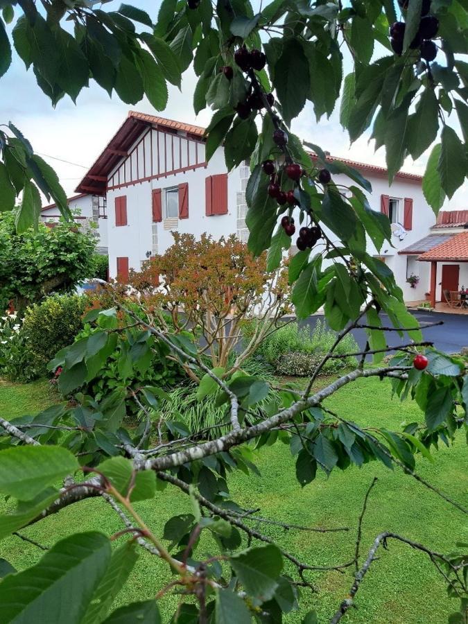 Maison Errientania Souraïde Exteriér fotografie
